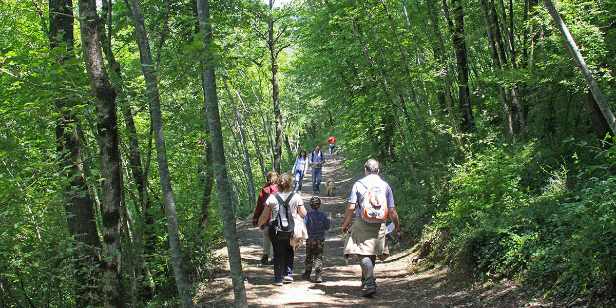 Forest of Saint Francis, Assisi - Umbria