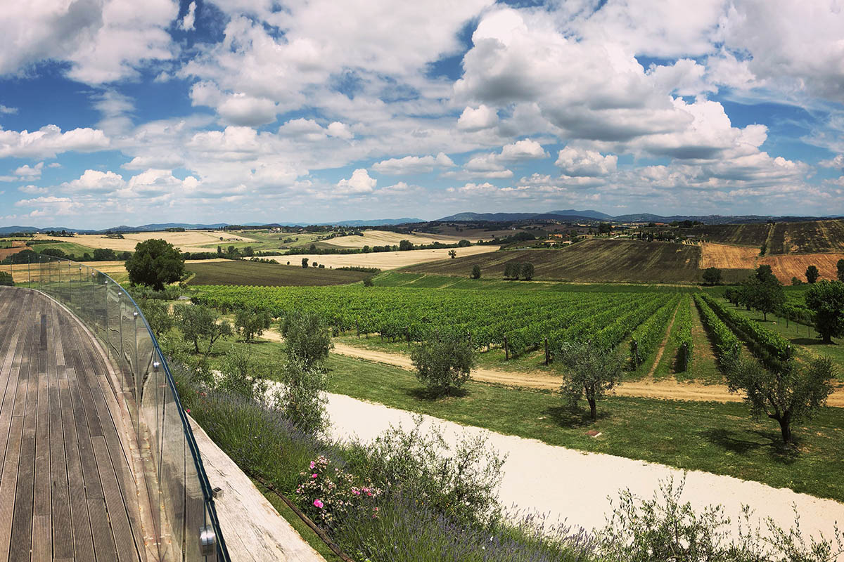 Wedding in agriturismo with pool - Tenuta dei Mori, Perugia - Umbria